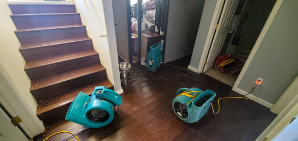 Best Water damage restoration specialists  in Ckam Housing, HI