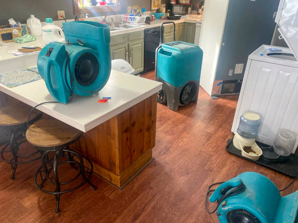 Best Sewage cleanup and water damage restoration  in Ckam Housing, HI