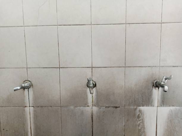 Best Mold removal after water damage  in Ckam Housing, HI
